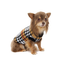 Urban pup Autumn sweater